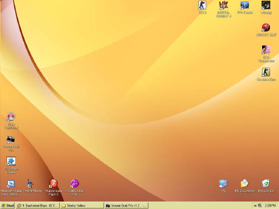 yellowscreenshot.jpg